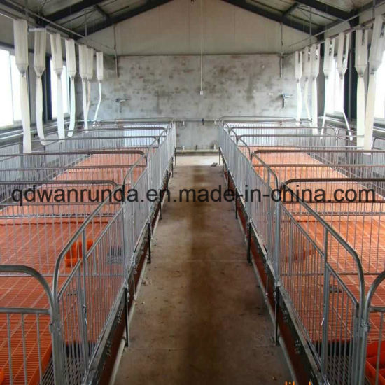 Pig Breeding Farms for Pig Rearing Equipment and for Anmial Feedr Use