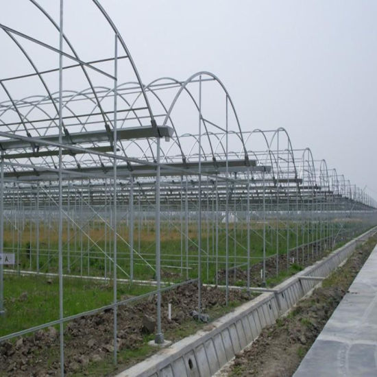 Hot DIP Galvanized Steel Pipe for Warmhouse and Greenhouse