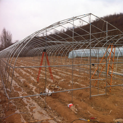 Od20X1mm Galvanized Steel Tube for Warmhouse or Greenhouse