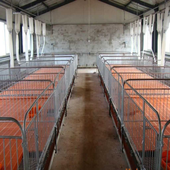 Piglet Nursery Bed/ Nursery Bed /Piglet Care Beds for Pig Industry