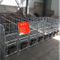 Pig Industry Equipment/Pig Breeding Equipment/ Sow Crate with High Quality