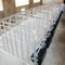 Sow Cultivation Equipment Sow Crate with Manger
